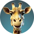 marinette_jeux